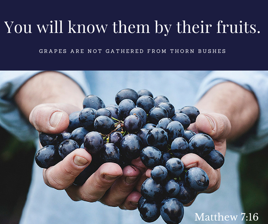 by their fruit